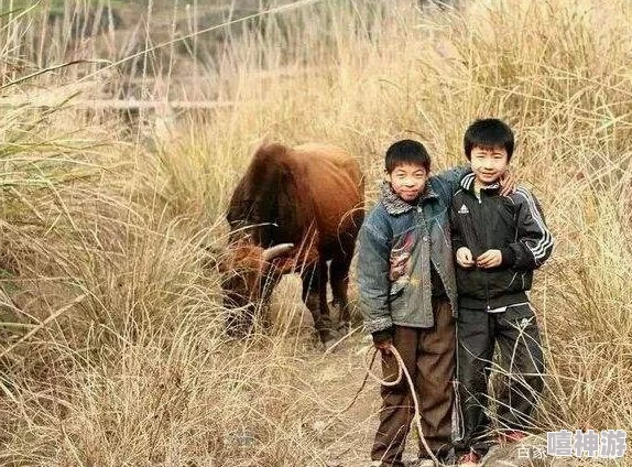 小孩和小孩一起草，网友疯传：童年回忆被毁？内幕曝光！