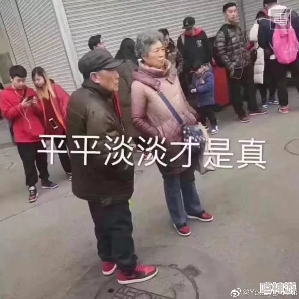 中国老太太逼逼：街头演讲引围观，网友热议其独特见解与生活智慧！