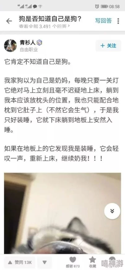 百丽宫幼童视频引发热议，网友纷纷质疑背后真相与责任，社会各界呼吁加强儿童保护措施！